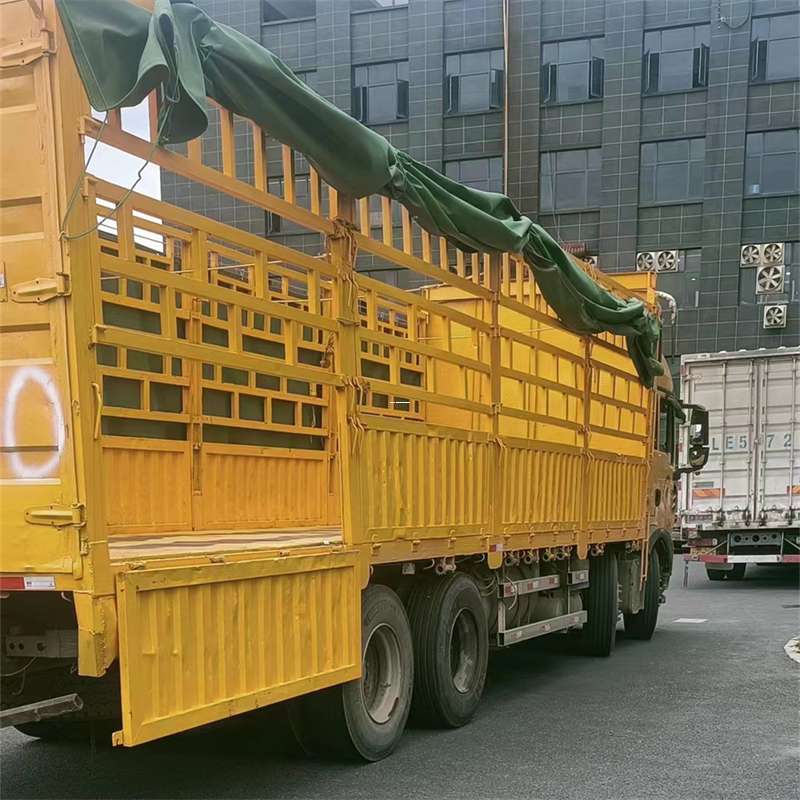 大安市吉安市物流：多元服务与高效运输线路探秘